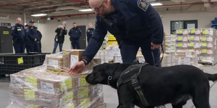 ട്രംപിന്റെ വാദം പൊളിഞ്ഞു? കാനഡ വഴിയുള്ള ഫെന്റനൈൽ കടത്ത് തെറ്റായ വാദമെന്ന് യു.എസ്. റിപ്പോർട്ട്!