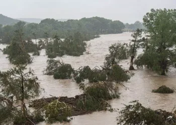 ടെക്സാസ് പ്രളയം: മരണം 24 ആയി, പെൺകുട്ടികളുടെ ക്യാമ്പിൽ നിന്ന് 25 പേരെ കാണാതായി 6 ടെക്സാസ് പ്രളയം: മരണം 24 ആയി, പെൺകുട്ടികളുടെ ക്യാമ്പിൽ നിന്ന് 25 പേരെ കാണാതായി