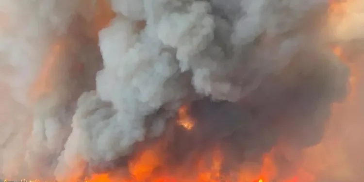 മാനിറ്റോബയിൽ കാട്ടുതീ രൂക്ഷം: ഗാർഡൻ ഹിൽ നിവാസികളെ പൂർണമായി ഒഴിപ്പിച്ചു 1 മാനിറ്റോബയിൽ കാട്ടുതീ രൂക്ഷം: ഗാർഡൻ ഹിൽ നിവാസികളെ പൂർണമായി ഒഴിപ്പിച്ചു