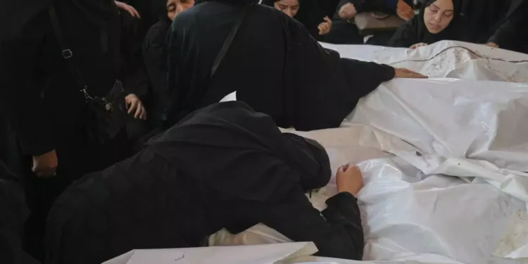 സഹായം തേടി വന്നവർക്ക് മരണം; ഗാസയിൽ ഇസ്രായേൽ വ്യോമാക്രമണത്തിൽ 52 പേർ കൊല്ലപ്പെട്ടു 1 സഹായം തേടി വന്നവർക്ക് മരണം; ഗാസയിൽ ഇസ്രായേൽ വ്യോമാക്രമണത്തിൽ 52 പേർ കൊല്ലപ്പെട്ടു