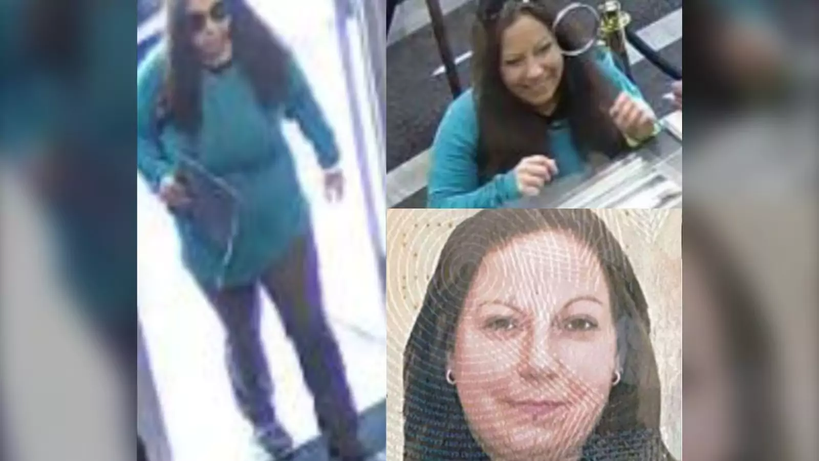 1.3 ലക്ഷം ഡോളറിന്റെ തട്ടിപ്പ്: 38 വയസ്സുകാരി വിൻഡ്സറിൽ അറസ്റ്റിൽ