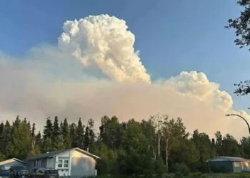 wild fire