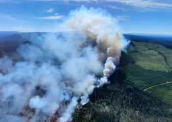 wildfire