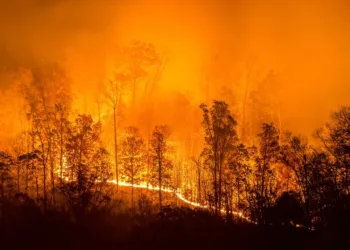 wildfire