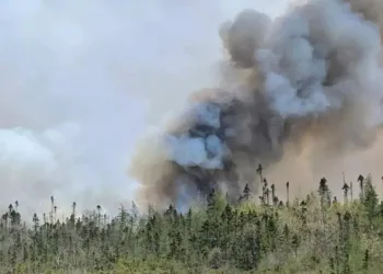 പുറത്ത് തീയിടല്ലെ, വനമേഖലകളിൽ പോകല്ലേ: അറ്റ്‌ലാന്റിക് കാനഡയിൽ അതീവജാ​ഗ്രത നിർദേശം, ഏതുനിമിഷവും കാട്ടുതീ പടരാം
