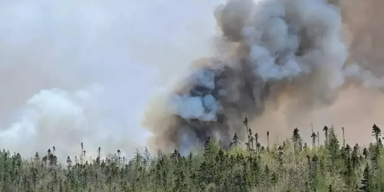 പുറത്ത് തീയിടല്ലെ, വനമേഖലകളിൽ പോകല്ലേ: അറ്റ്‌ലാന്റിക് കാനഡയിൽ അതീവജാ​ഗ്രത നിർദേശം, ഏതുനിമിഷവും കാട്ടുതീ പടരാം