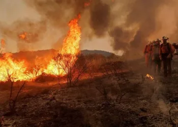 wildfire