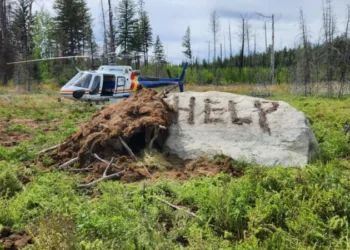 wilderness surviving