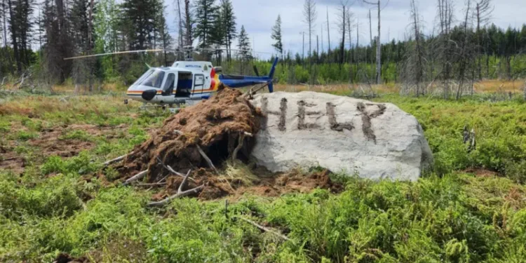 wilderness surviving