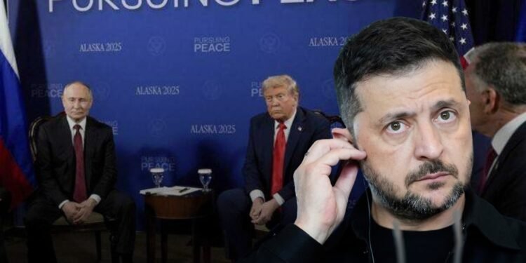 സമാധാന കരാറില്ലാതെ യുഎസ്-റഷ്യ ഉച്ചകോടി; തിങ്കളാഴ്ച ട്രംപിനെ കാണാൻ സെലെൻസ്കി 1 സമാധാന കരാറില്ലാതെ യുഎസ്-റഷ്യ ഉച്ചകോടി; തിങ്കളാഴ്ച ട്രംപിനെ കാണാൻ സെലെൻസ്കി