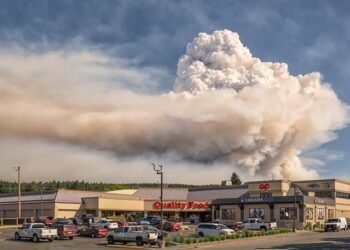 The Mount Underwood wildfire near Port Alberni burned at an intensity rarely seen on Vancouver Island