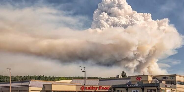 The Mount Underwood wildfire near Port Alberni burned at an intensity rarely seen on Vancouver Island