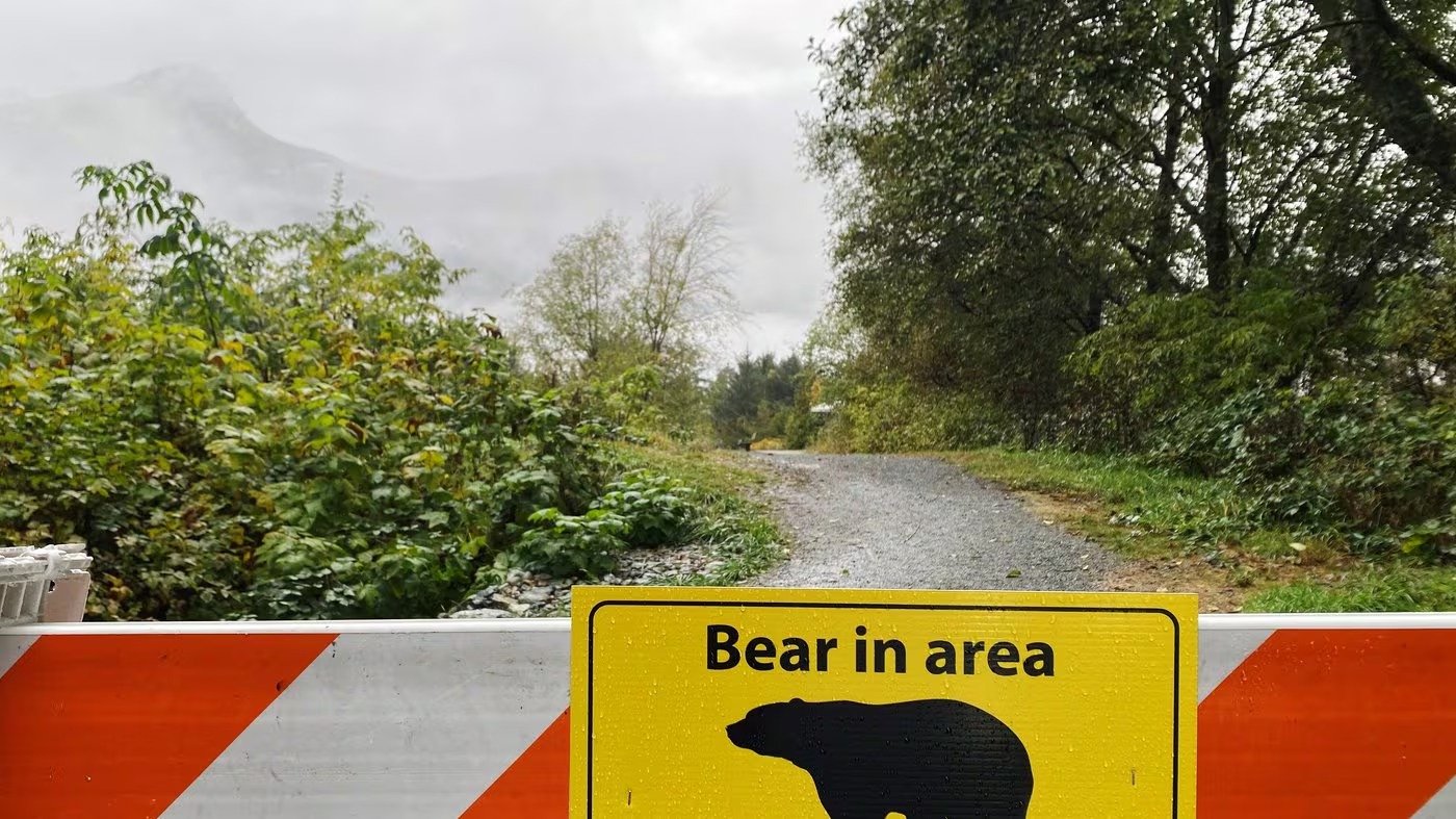 കാനനാസ്കിസ് കൺട്രിയിൽ കരടികൾ പെരുകുന്നു; മുന്നറിയിപ്പുമായി അധികൃതർ