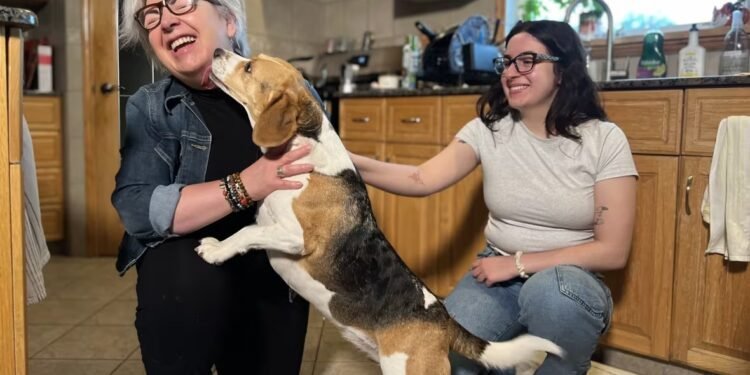 വിന്നിപെഗ് സ്കൂൾ ഡിവിഷനിൽ വിദേശ വിദ്യാർത്ഥികളുടെ കുത്തൊഴുക്ക്; യു.എസിലേക്കുള്ളവർ കാനഡയിലേക്ക് മാറുന്നു 1 വിന്നിപെഗ് സ്കൂൾ ഡിവിഷനിൽ വിദേശ വിദ്യാർത്ഥികളുടെ കുത്തൊഴുക്ക്; യു.എസിലേക്കുള്ളവർ കാനഡയിലേക്ക് മാറുന്നു