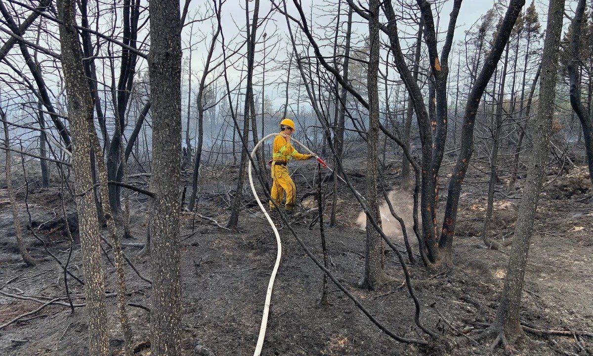 ന്യൂഫൗണ്ട്‌ലാൻഡിനെ കാട്ടുതീ വിഴുങ്ങിയ നാളുകൾ: രക്ഷാപ്രവർത്തനങ്ങൾ വെല്ലുവിളിയാകുന്നു