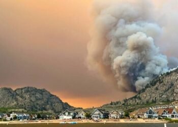 ഒസൂയൂസിൽ ആളിപ്പടർന്ന് കാട്ടുതീ; ഹൈവേ 3 അടച്ചു, ഒഴിപ്പിക്കാൻ ഒരുങ്ങി അധികൃതർ