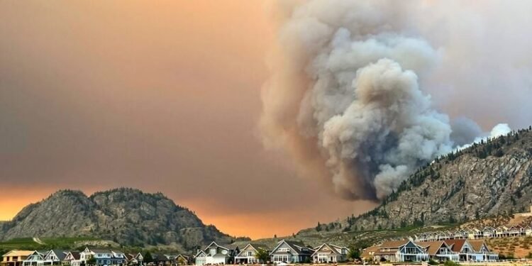 ഒസൂയൂസിൽ ആളിപ്പടർന്ന് കാട്ടുതീ; ഹൈവേ 3 അടച്ചു, ഒഴിപ്പിക്കാൻ ഒരുങ്ങി അധികൃതർ
