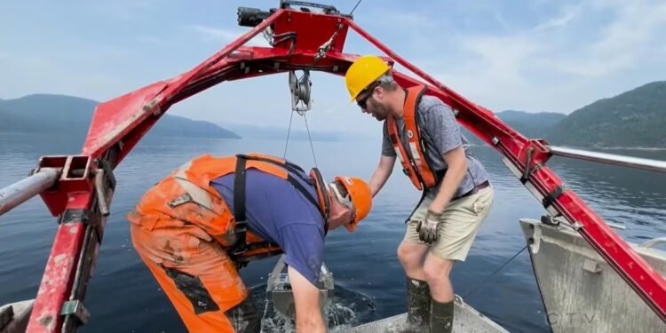 ഭൂമിയുടെ ആഴക്കടലിലെ രഹസ്യങ്ങൾ തേടി ശാസ്ത്രജ്ഞർ; കാർബൺ സംഭരണത്തെക്കുറിച്ച് ക്യുബെക്കിൽ പഠനം