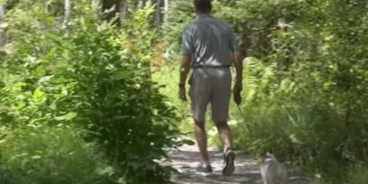 വിലക്ക് ലംഘിച്ച് വനത്തിലേക്ക്; ഭരണഘടനാ അവകാശങ്ങൾക്കായി പോരാടി ഒരു മുൻ സൈനികൻ