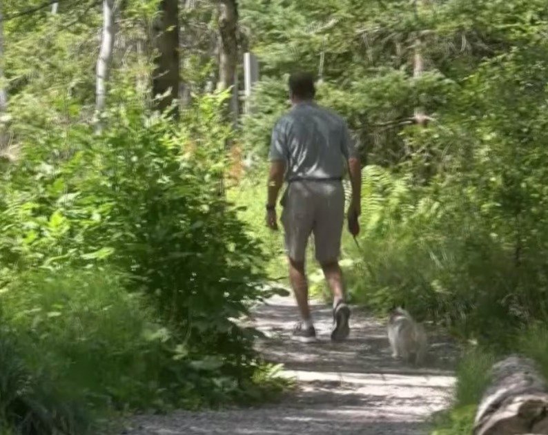 വിലക്ക് ലംഘിച്ച് വനത്തിലേക്ക്; ഭരണഘടനാ അവകാശങ്ങൾക്കായി പോരാടി ഒരു മുൻ സൈനികൻ