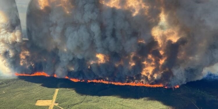 കാനഡയിലെ സെൻ്റ് ജോൺസ് നഗരത്തിന് സമീപം കാട്ടുതീ; ആയിരക്കണക്കിന് ആളുകളെ ഒഴിപ്പിക്കാൻ ഉത്തരവ്