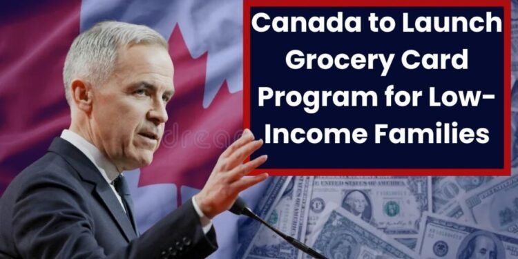 പട്ടിണിയില്ലാത്ത കാനഡ; കുറഞ്ഞ വരുമാനക്കാർക്ക് പ്രതിമാസം $250-ന്റെ ഗ്രോസറി കാർഡ് പദ്ധതി