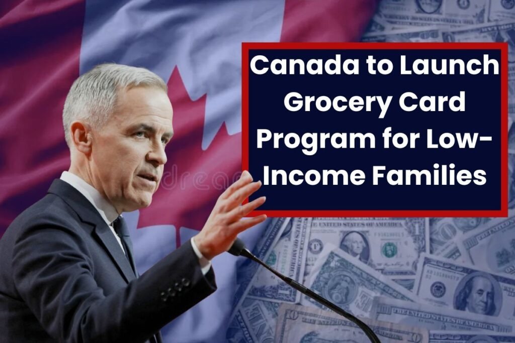 പട്ടിണിയില്ലാത്ത കാനഡ; കുറഞ്ഞ വരുമാനക്കാർക്ക് പ്രതിമാസം $250-ന്റെ ഗ്രോസറി കാർഡ് പദ്ധതി