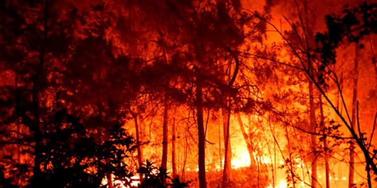 കാട്ടുതീയിൽ വെന്തുരുകി തെക്കൻ യൂറോപ്പ്: പാത്രസിൽ നിന്ന് മാത്രം മാറ്റിപ്പാർപ്പിച്ചത് 2 ലക്ഷം പേരെ, റെക്കോർഡ് ചൂട് തുടരുന്നു