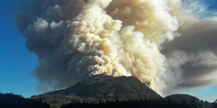 ചുട്ടുപൊള്ളി പോർട്ട് ആൽബേർണി; അടിയന്തരാവസ്ഥ പ്രഖ്യാപിച്ചു, വൈദ്യുതി ബന്ധം നിലച്ചു
