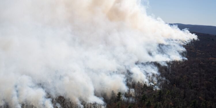 വെസ്റ്റ് ഡൽഹൗസിയിൽ കാട്ടുതീ: ആശങ്കയിൽ ജനങ്ങൾ, ഒഴിഞ്ഞുപോകാന്‍ നിർദേശം