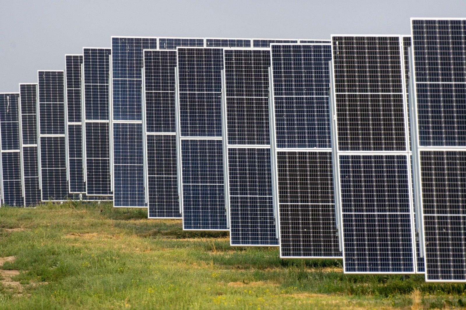 ജയിലുകളിൽ സൗരോർജ്ജം ഉപയോഗിക്കാൻ ആൽബർട്ട; പ്രതിവർഷം 1 മില്യൺ ഡോളർ ലാഭിക്കാൻ ലക്ഷ്യമിട്ട് സർക്കാർ
