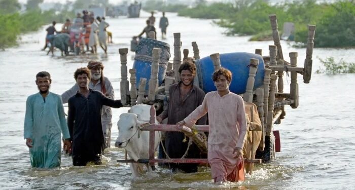 പാകിസ്താനിൽ പ്രളയം; 150 പേരെ കാണാനില്ല, മരണസംഖ്യ 270 കടന്നു 1 പാകിസ്താനിൽ പ്രളയം; 150 പേരെ കാണാനില്ല, മരണസംഖ്യ 270 കടന്നു