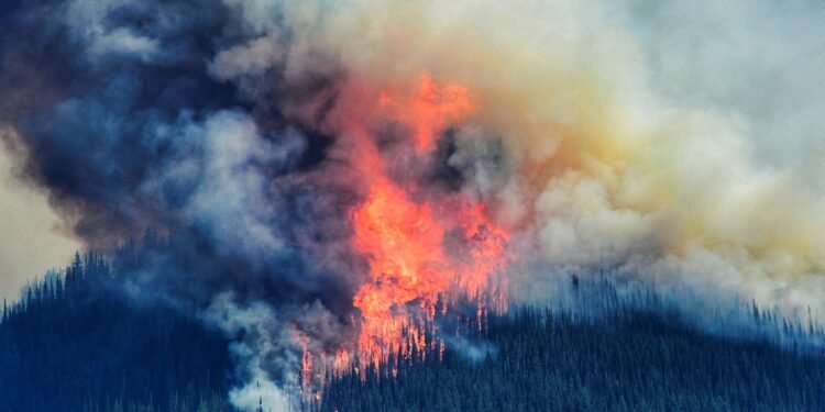 മാനിറ്റോബയിലെ കാട്ടുതീ: സർക്കാർ നയങ്ങൾ വീണ്ടും ചർച്ചയിലേക്ക്