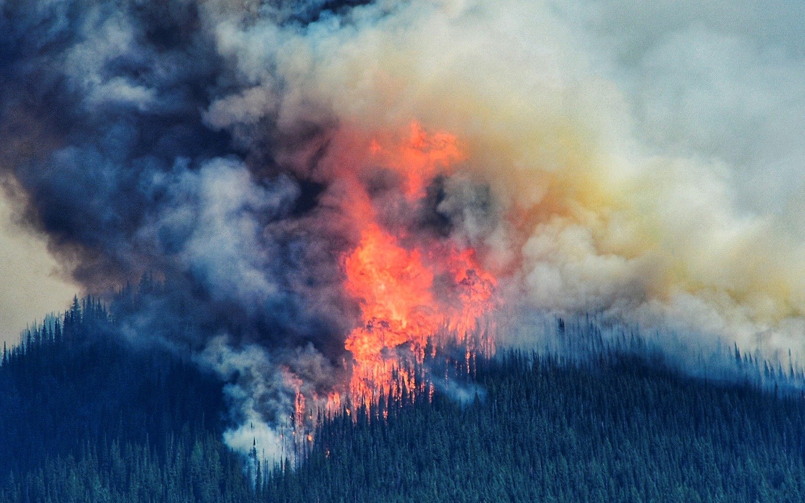 മാനിറ്റോബയിലെ കാട്ടുതീ: സർക്കാർ നയങ്ങൾ വീണ്ടും ചർച്ചയിലേക്ക്