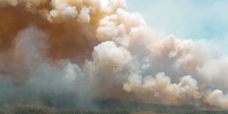 നിയന്ത്രണാതീതമായി കാട്ടുതീ; ലോംഗ് ലേക്കിലെ കാട്ടുതീ നിയന്ത്രണവിധേയമാക്കാൻ തീവ്ര ശ്രമങ്ങൾ