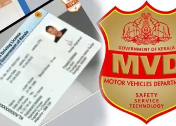 digital driving licence