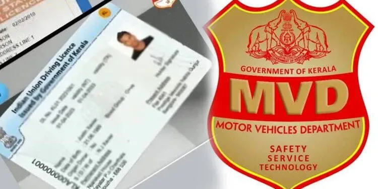 digital driving licence