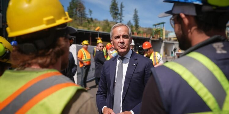 സോഫ്റ്റ്വുഡ് മരവ്യവസായത്തെ കരകയറ്റാൻ സഹായ പദ്ധതികൾ പ്രഖ്യാപിച്ച് മാർക്ക് കാർണി 1 സോഫ്റ്റ്വുഡ് മരവ്യവസായത്തെ കരകയറ്റാൻ സഹായ പദ്ധതികൾ പ്രഖ്യാപിച്ച് മാർക്ക് കാർണി