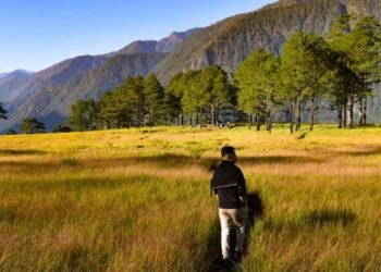 a man walking in a field with trees and mountains in the background