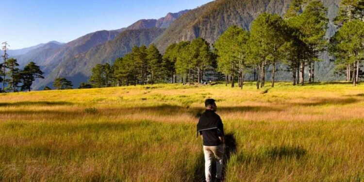 a man walking in a field with trees and mountains in the background
