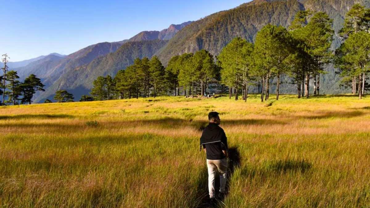 a man walking in a field with trees and mountains in the background
