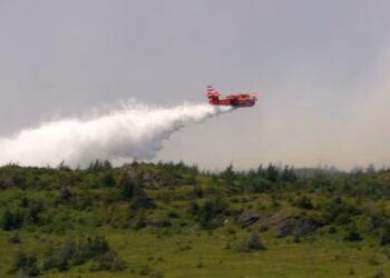wildfire
