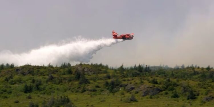 കാട്ടുതീയോ അതോ മനഃപ്പൂർവം തീയിട്ടതോ? ന്യൂഫൗണ്ട്ലാൻഡിൽ വീണ്ടും ഒഴിപ്പിക്കൽ നിർദേശം 1 wildfire