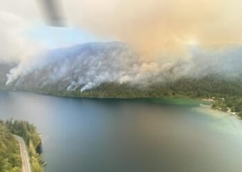 wildfire