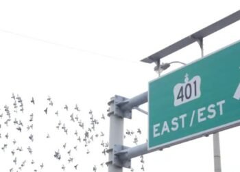 highway