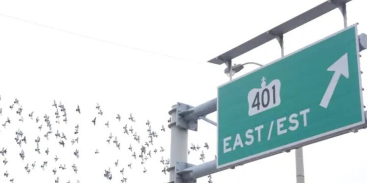 ട്രാഫിക് കുരുക്കുകൾ പരിഹരിക്കാൻ ഒന്റാരിയോയുടെ ശ്രമം: വിവാദങ്ങളൊഴിയാതെ ഹൈവേ തുരങ്ക പദ്ധതി 1 highway