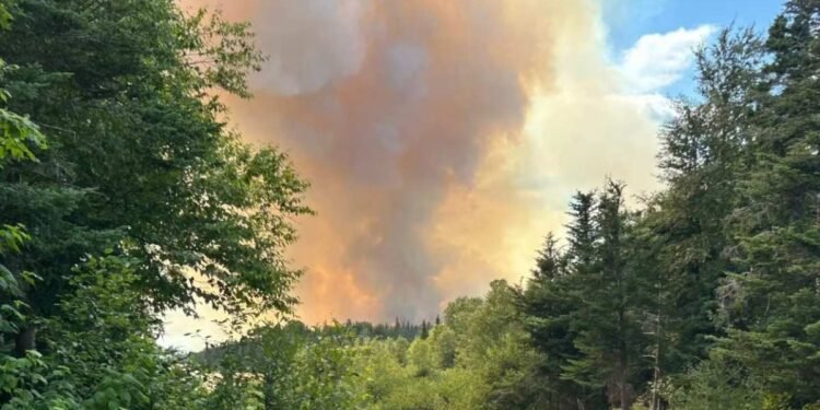 കാട്ടുതീ നിയന്ത്രണവിധേയമാകുന്നു; ക്യുബെക്ക്, ഒന്റാറിയോ എന്നിവിടങ്ങളിൽ നിന്ന് കൂടുതൽ സഹായം 1 fire