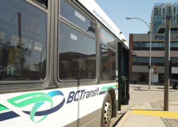 bus