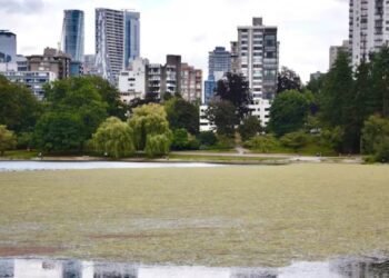 Stanley Park