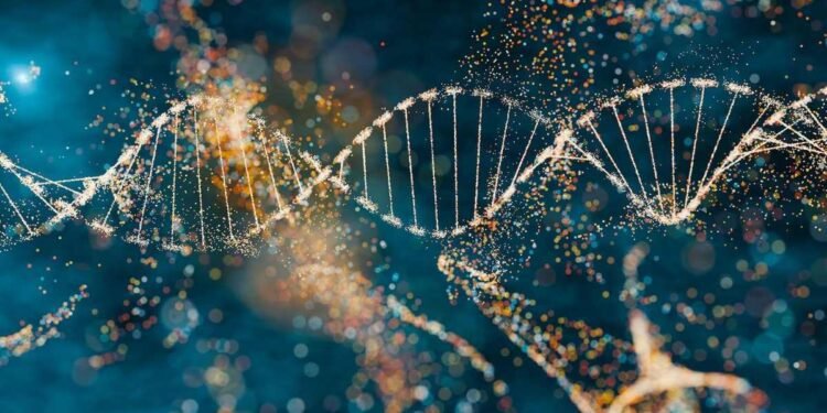 ഒരിക്കൽ ഉപയോഗശൂന്യമെന്ന് കരുതിയ ജീനുകൾ; മനുഷ്യ പരിണാമത്തിൽ നിർണ്ണായക പങ്കെന്ന് പഠനം 1 DNA